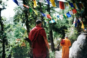 14 Days Northern India Road Trip