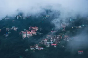 Shimla Glen Forest walk