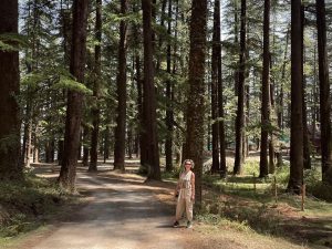 Shimla spine line or ridge line trail by the auriga